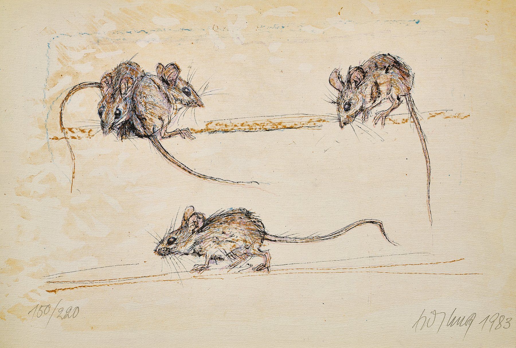 Grafica & Litografie: Vier Mäuse, Lithographie von Fritz Hug, handsigniert – Nuovo (secondo la descrizione) da Zürich venduto da CPH56