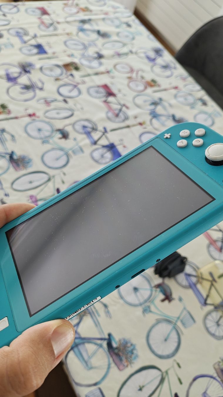 Nintendo Console: Nintendo Switch Lite+Lader+Plastic Cover – Usato da Montagnola venduto da mattbert86 3
