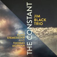 Jim Black - Thomas Morgan, Elias Stemeseder (CD Intakt) 2016