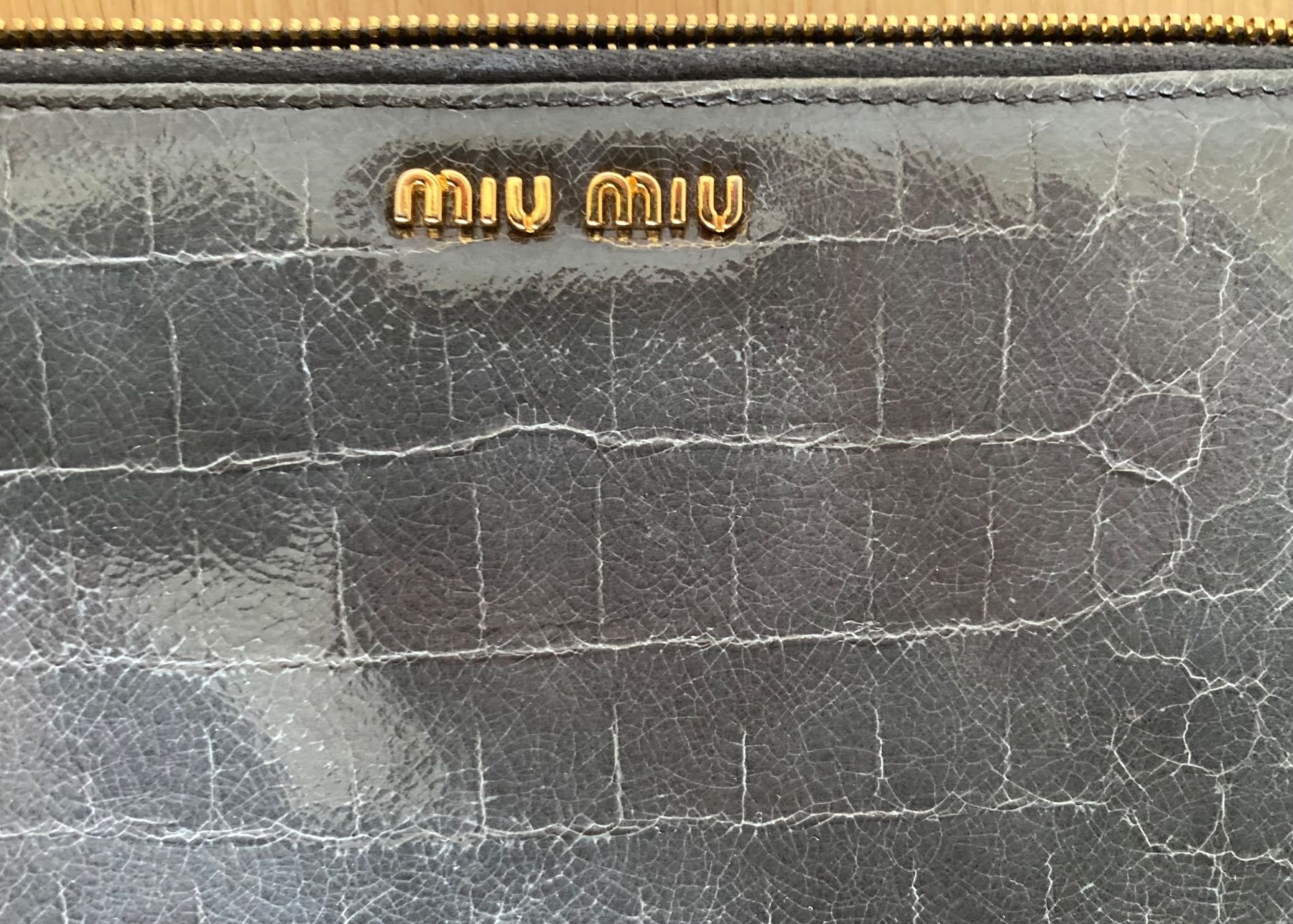 Miu Miu Borse da donna: FROM PRADA MIU MIU CASE – Usato da Walchwil venduto da Finibaci 1