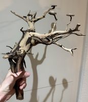 Exklusive Aquascaping-Wurzel / Bonsai-Baum Hardscape ab1.-