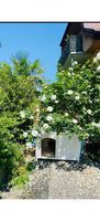 Hundehaus und Hundekiste