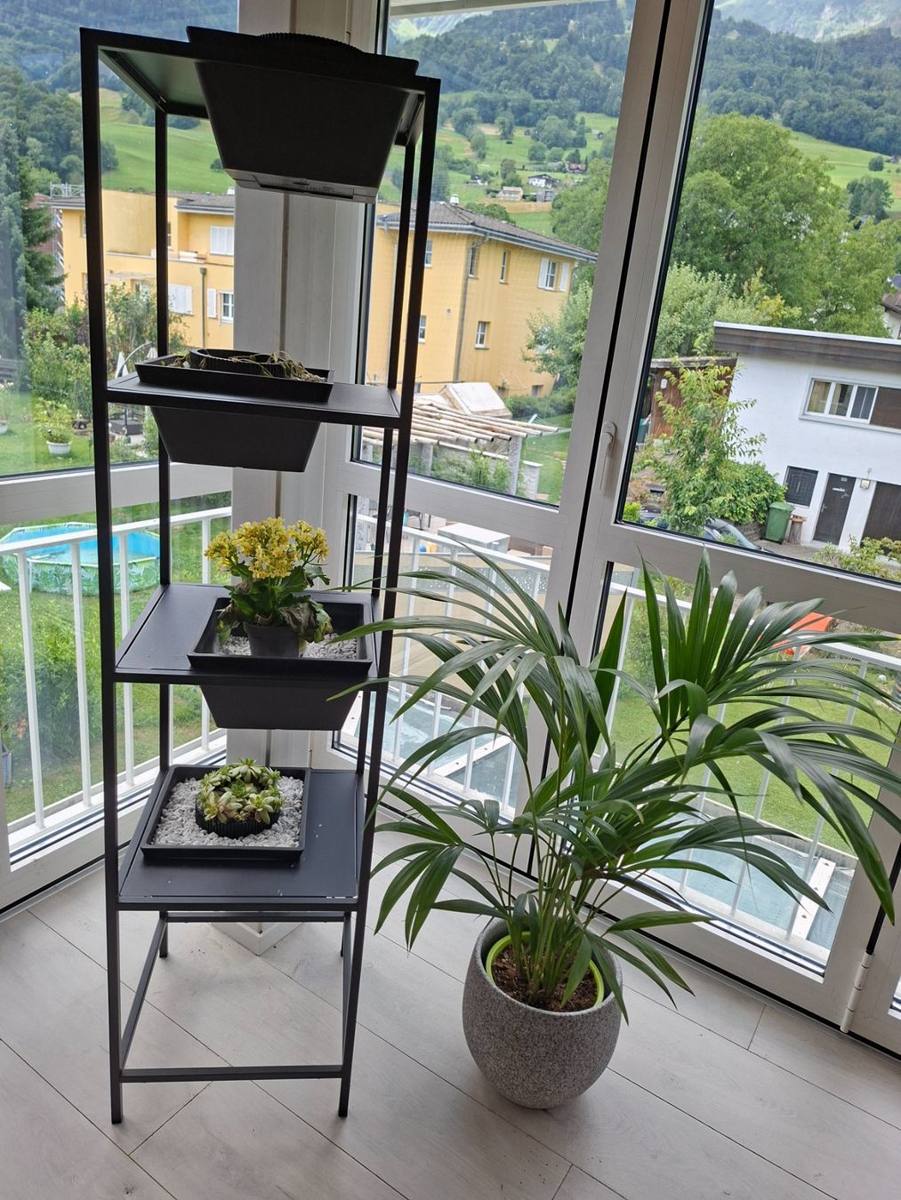 Altro per la casa: Gestell pflanzen – Usato da Wangs venduto da sag_c9cz
