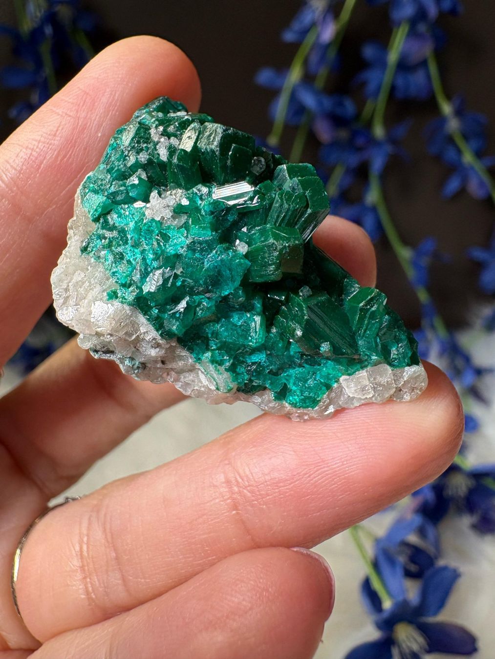Mineralien & Heilsteine: Dioptas – Neu (gemäss Beschreibung) aus Neuheim von m.hald 5