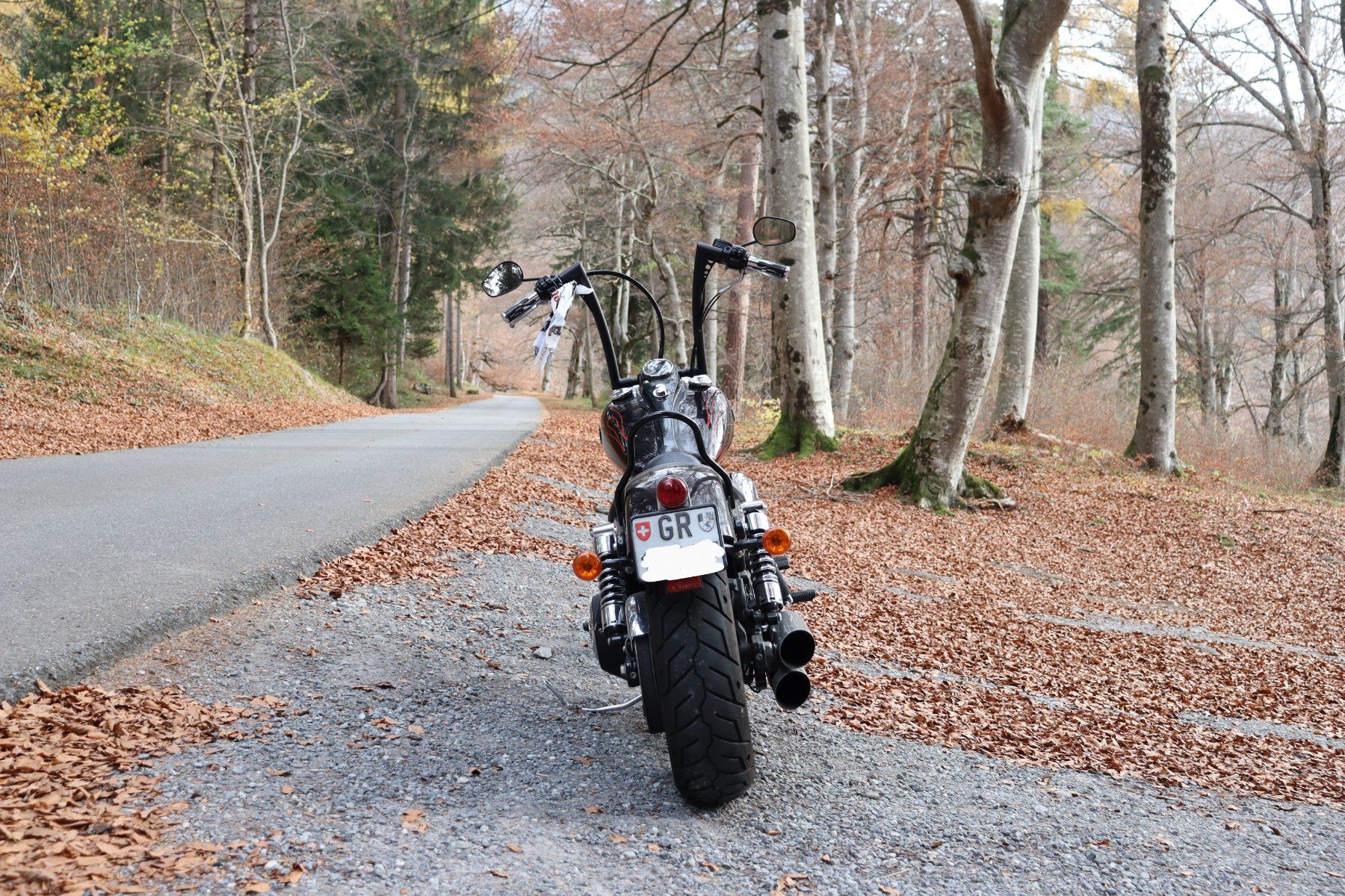 Harley-Davidson Chopper: Harley Davidson Dyna Wide Glide – Usato da Mastrils venduto da HitschHitsch02 2