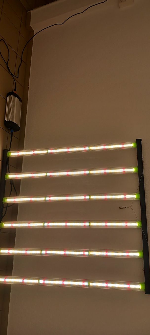 Lampade: Flexstar 645 W  Follspectrum grow Light – Usato da Brüttisellen venduto da Avantgarde