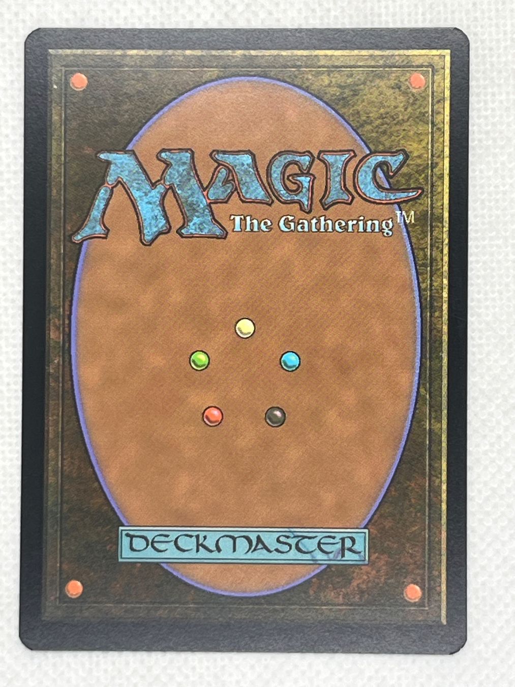 Magic The Gathering Cartes à collectionner: MTG Gnarlroot Pallbearer Common Englisch – D'occasion à Hinterkappelen par Kim1992 1
