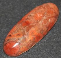 Cabochon L-8259 – Versteinertes Holz 29,5x11mm