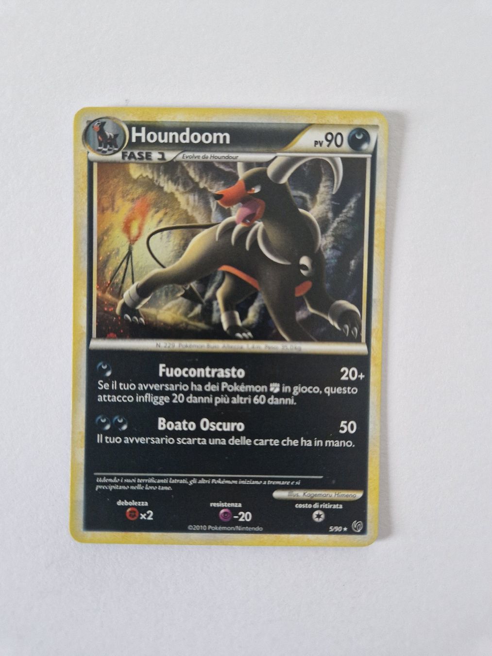 Pokémon Carte collezionabili: Houndoom Holo - Undaunted - ITA  – Usato da Romont FR venduto da raj_sjv9