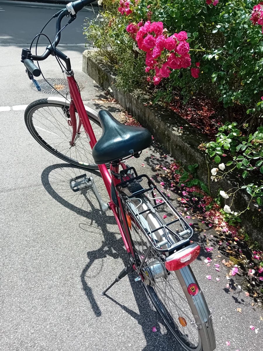 Vélos: Velo – Défectueux à Chur par jk.84 4