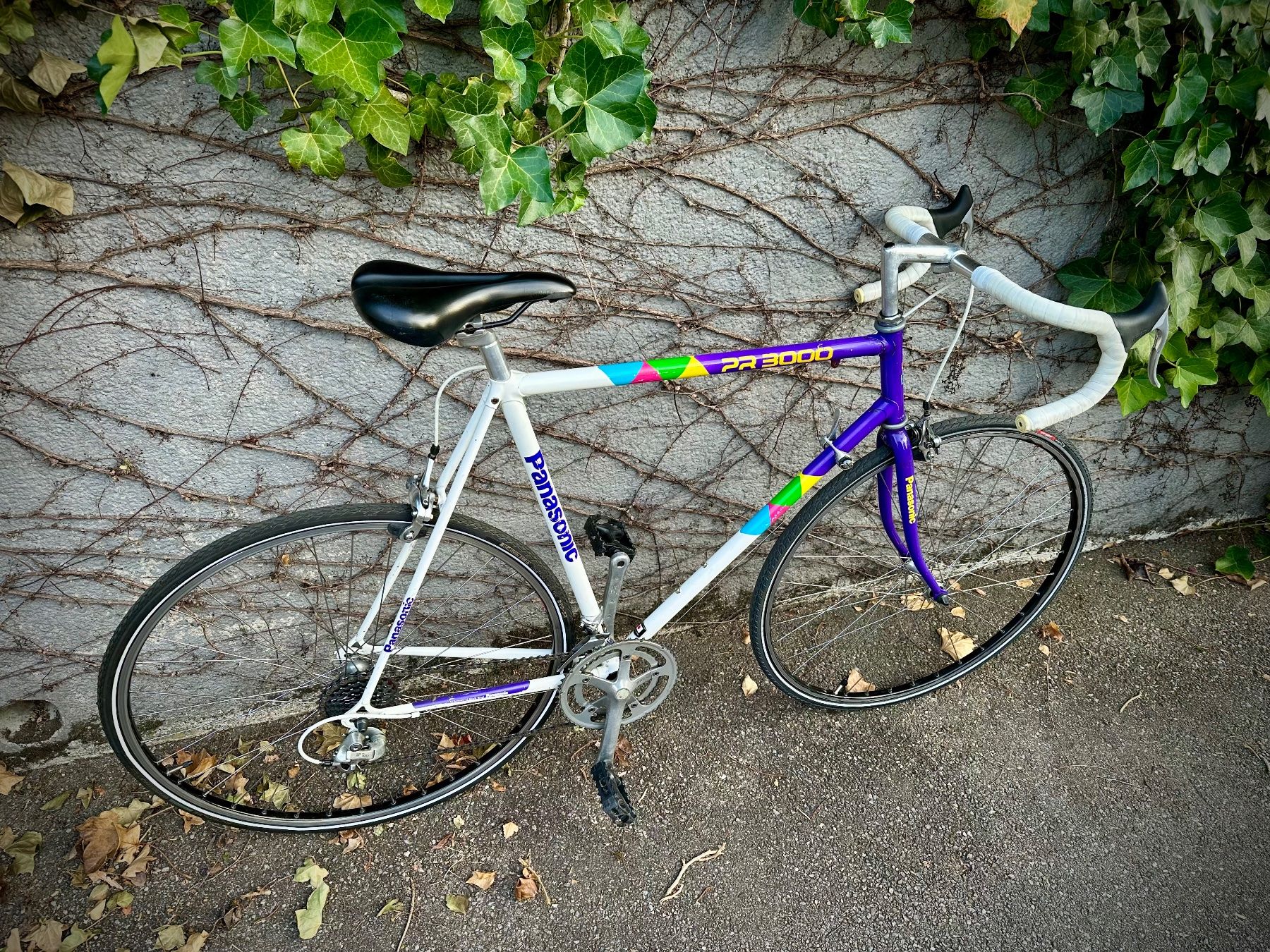 Panasonic Biciclette: Panasonic PR 3000 Vintage Rennvelo – Usato da Binningen venduto da Globe_21 2