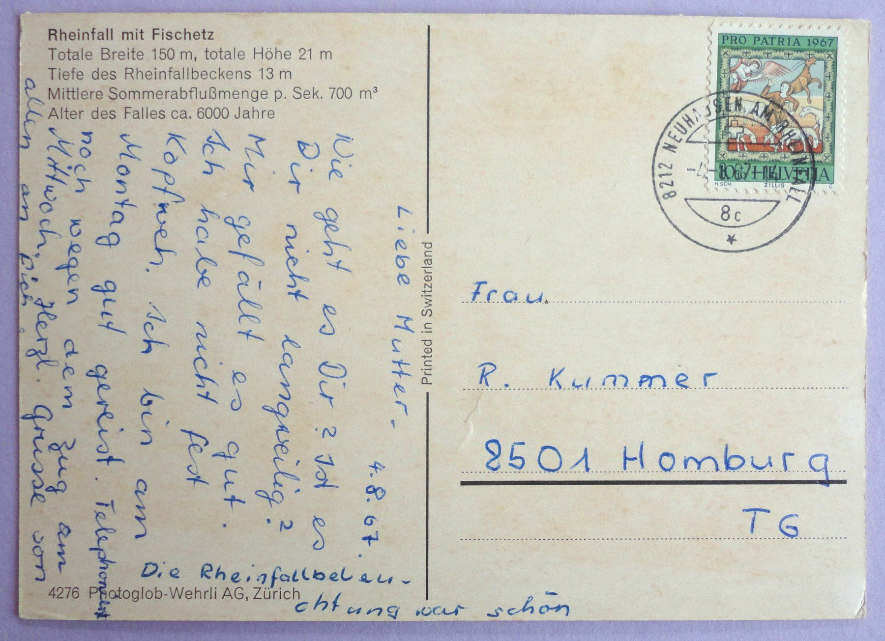 Cartoline postali: Rheinfall mit Fischetz – Usato da Fétigny venduto da Billy2miny 1