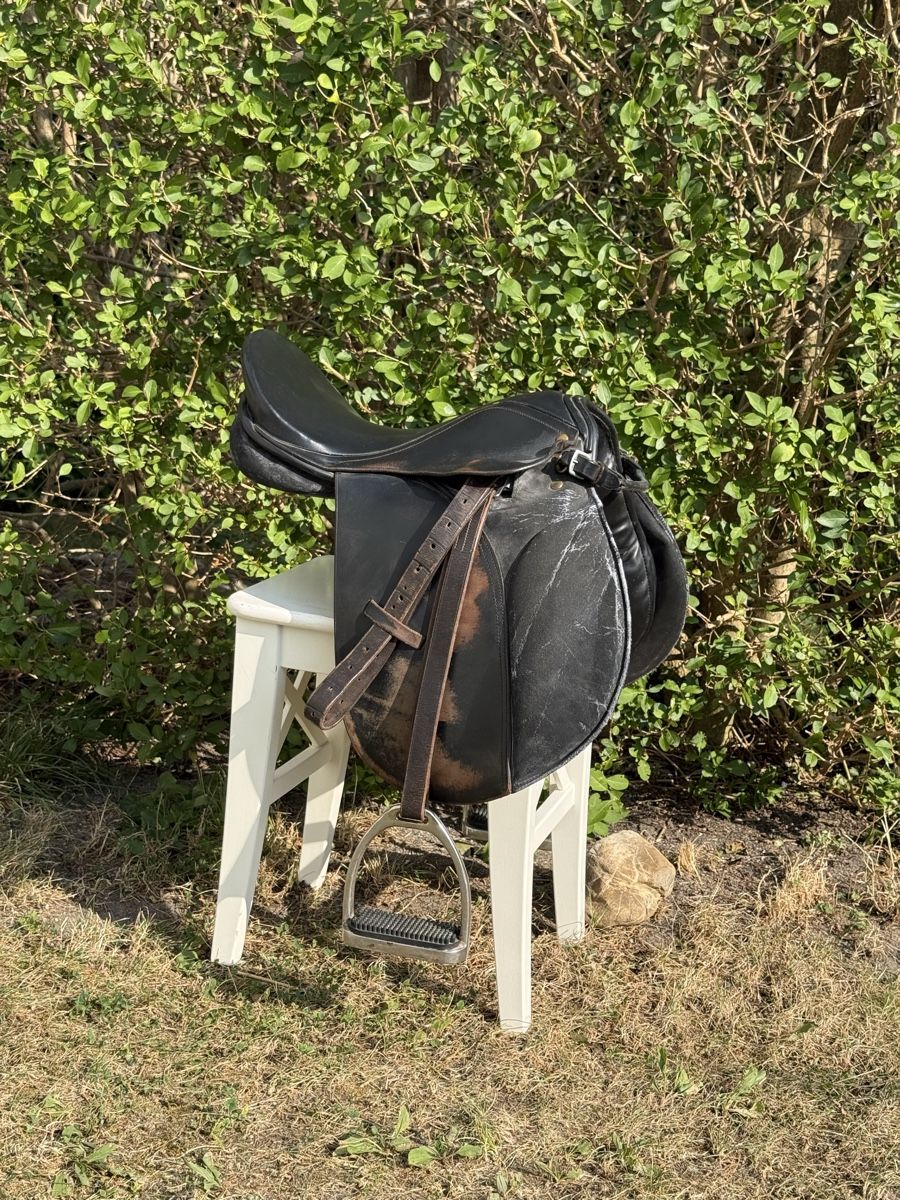 Sattel & Sattelzubehör: Sattel  – Gebraucht aus Beckenried von car_7d2w 1