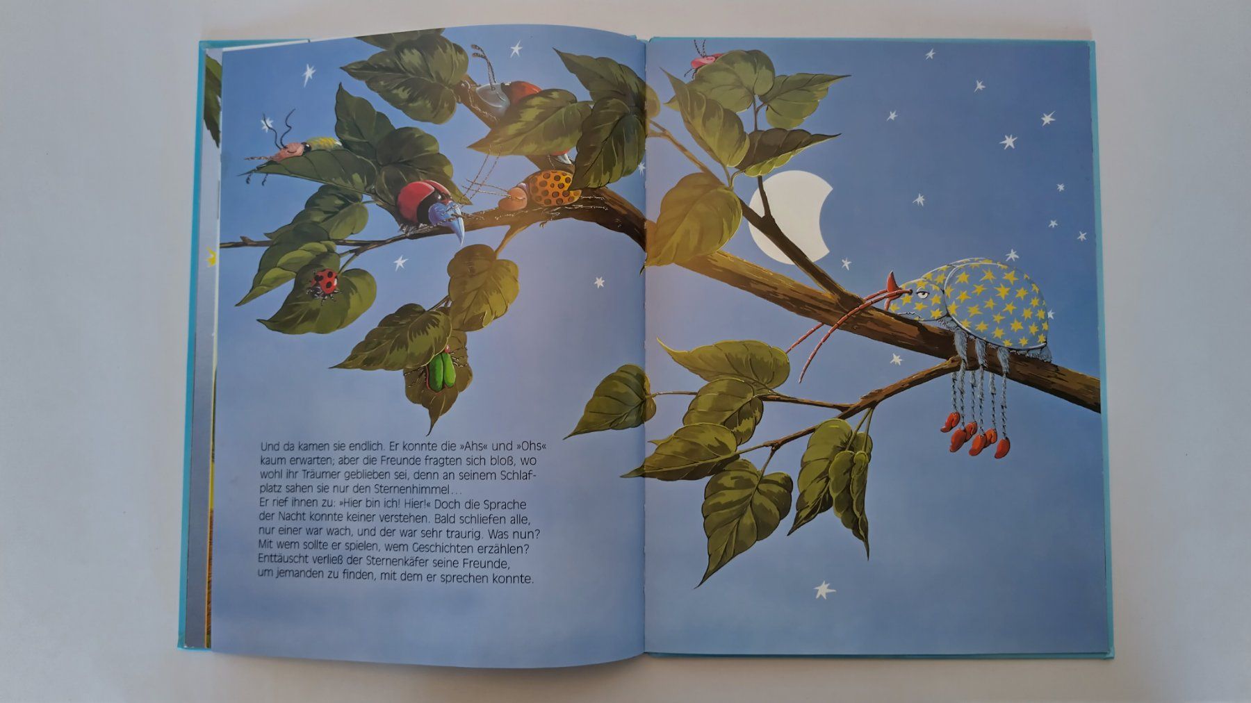 Bücher: Der Sternenkäfer / Bilderbuch 1994 ab Fr. 4.- / 2 Risse – Gebraucht aus Bellach von JingleJerry 7