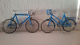 2 Velo/ Fahrrad  Miniaturen  Modelle , Dekoration