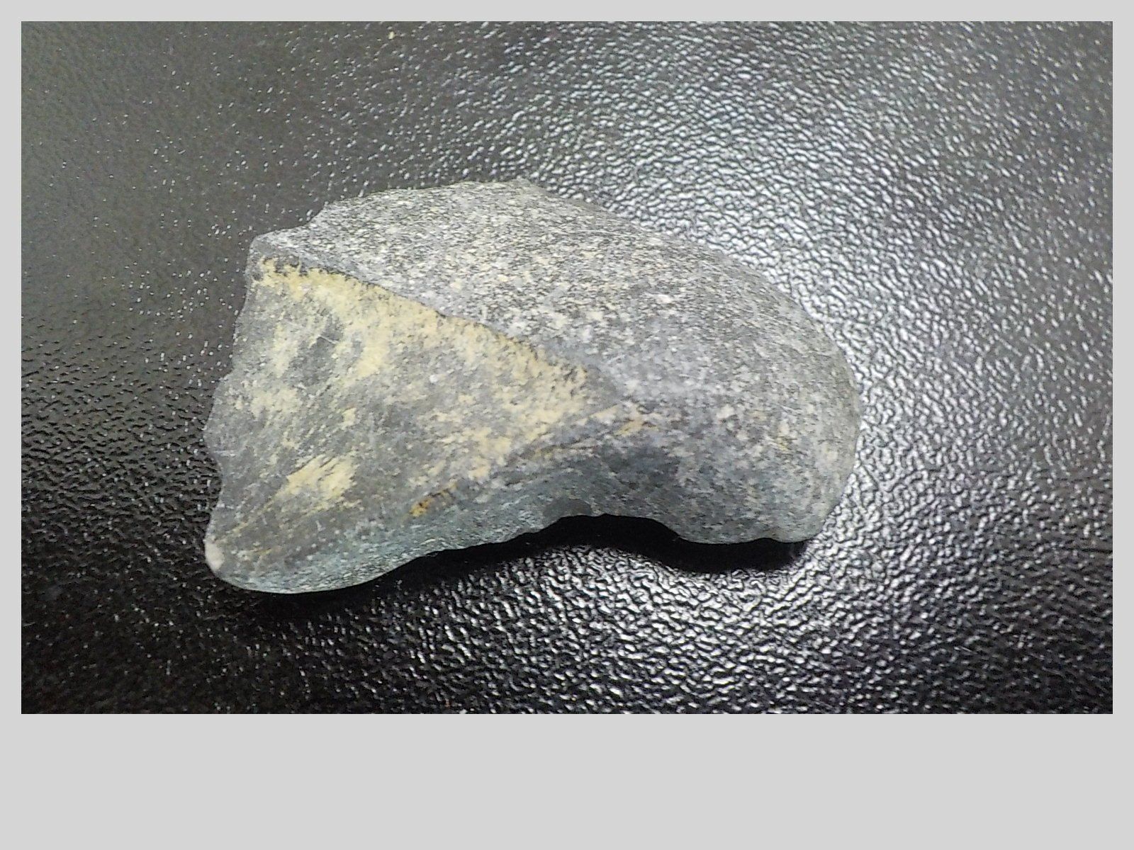 Fossili: fossile Gehäuse eines Armfüßers – Nuovo (secondo la descrizione) da Muri b. Bern venduto da Gemmes 1