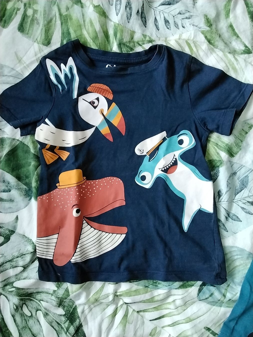C&A Camicie, T-shirt & Polo: 2x T-Shirt Maritim Gr. 104 – Usato da Balterswil venduto da Meerdeern 1