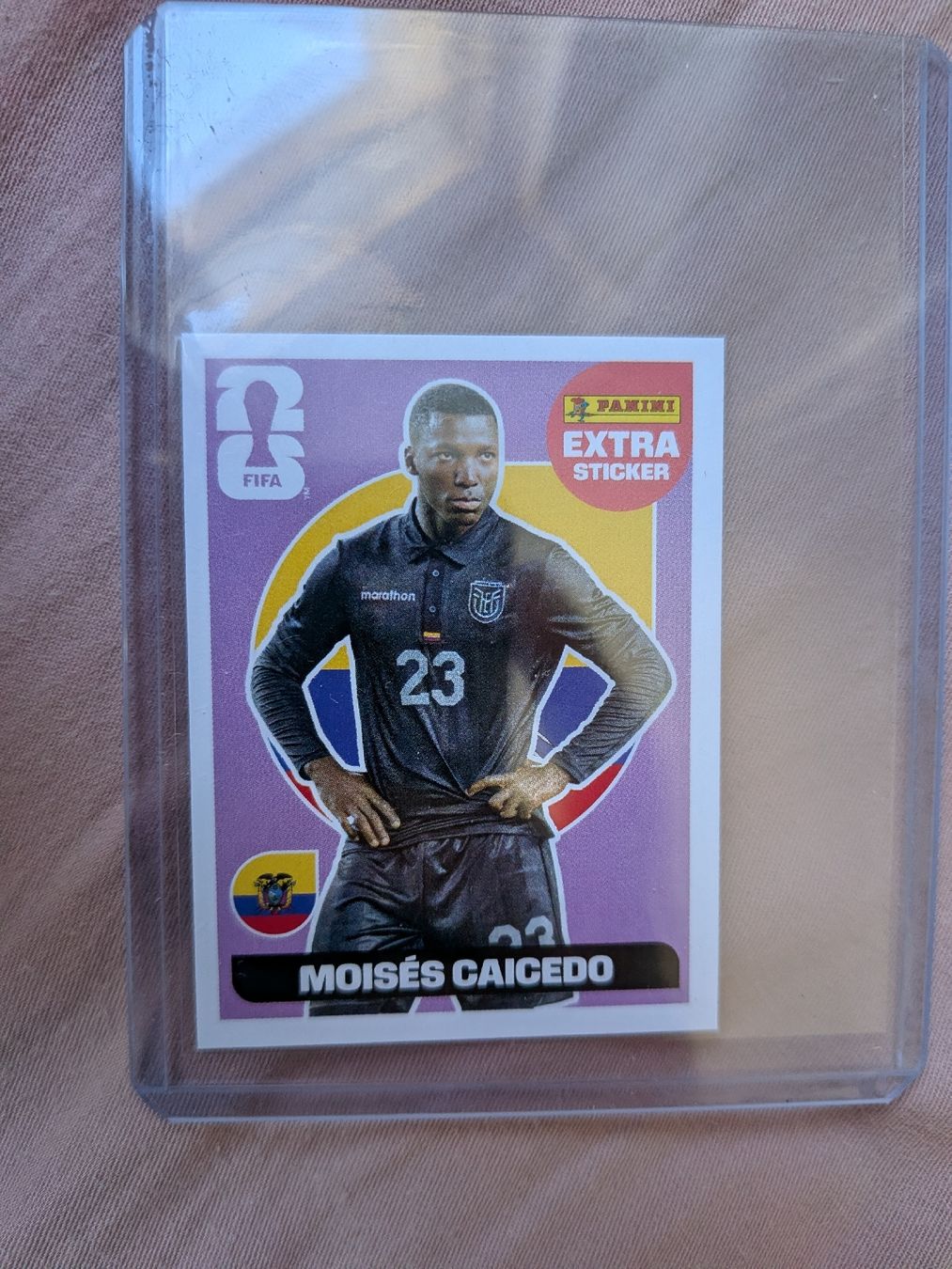 Panini Carte collezionabili: Panini WM 2026 Extra Sticker MOISÉS CAICEDO Regular – Nuovo (secondo la descrizione) da Uster venduto da yajiao