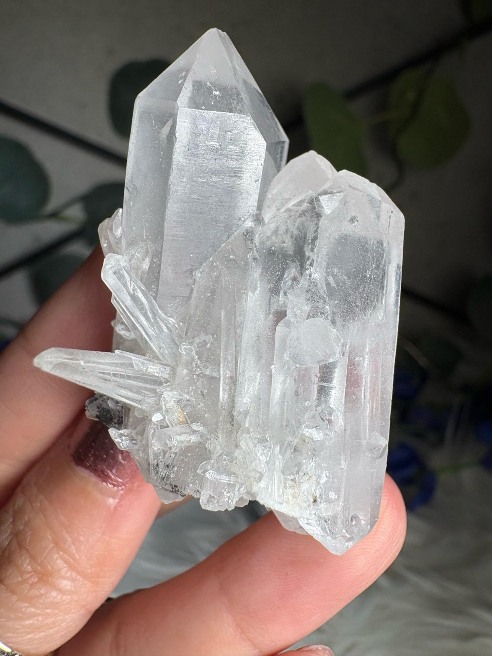 Minerali & Pietre curative: Kolumbianischer Lemurian-Quarz-Cluster – Nuovo (secondo la descrizione) da Neuheim venduto da m.hald