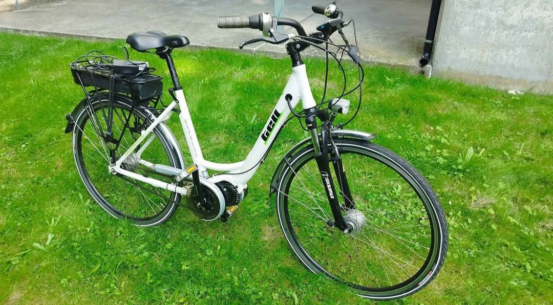 Biciclette: E-Bike Tell E-Novation – Nuovo (secondo la descrizione) da Brügg BE venduto da obm_fs8d 2