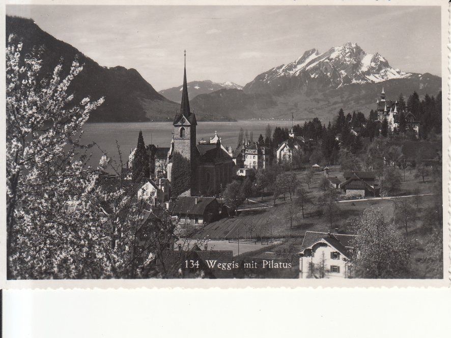 Cartoline postali: Weggis ca. 1940 – Usato da Bürglen TG venduto da StampGraf