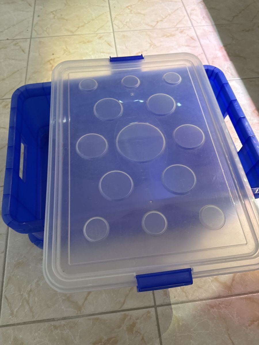 Contenitori & Simili: Blaue Aufbewahrungsbox mit Deckel – Usato da Weiningen ZH venduto da -Adenin- 6