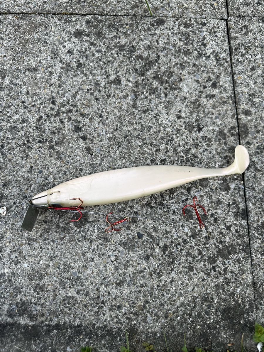 Esche: 5 Swimbait Gummifische – Usato da Steckborn venduto da bra_f7jy 1