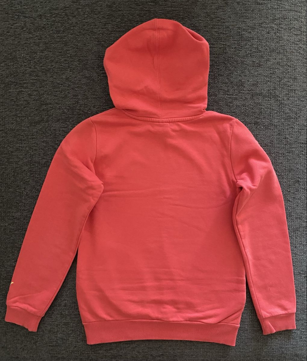 Puma Maglioni & Felpe: Puma Hoodie – Usato da Münchenstein venduto da Mr.Tomari 1