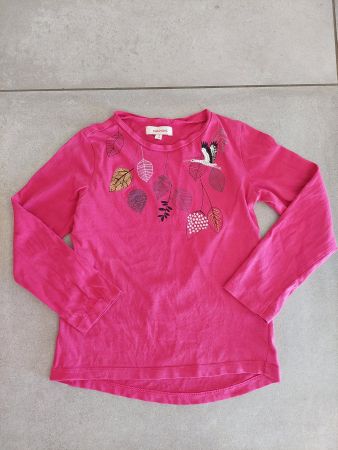 Pull Catimin rose