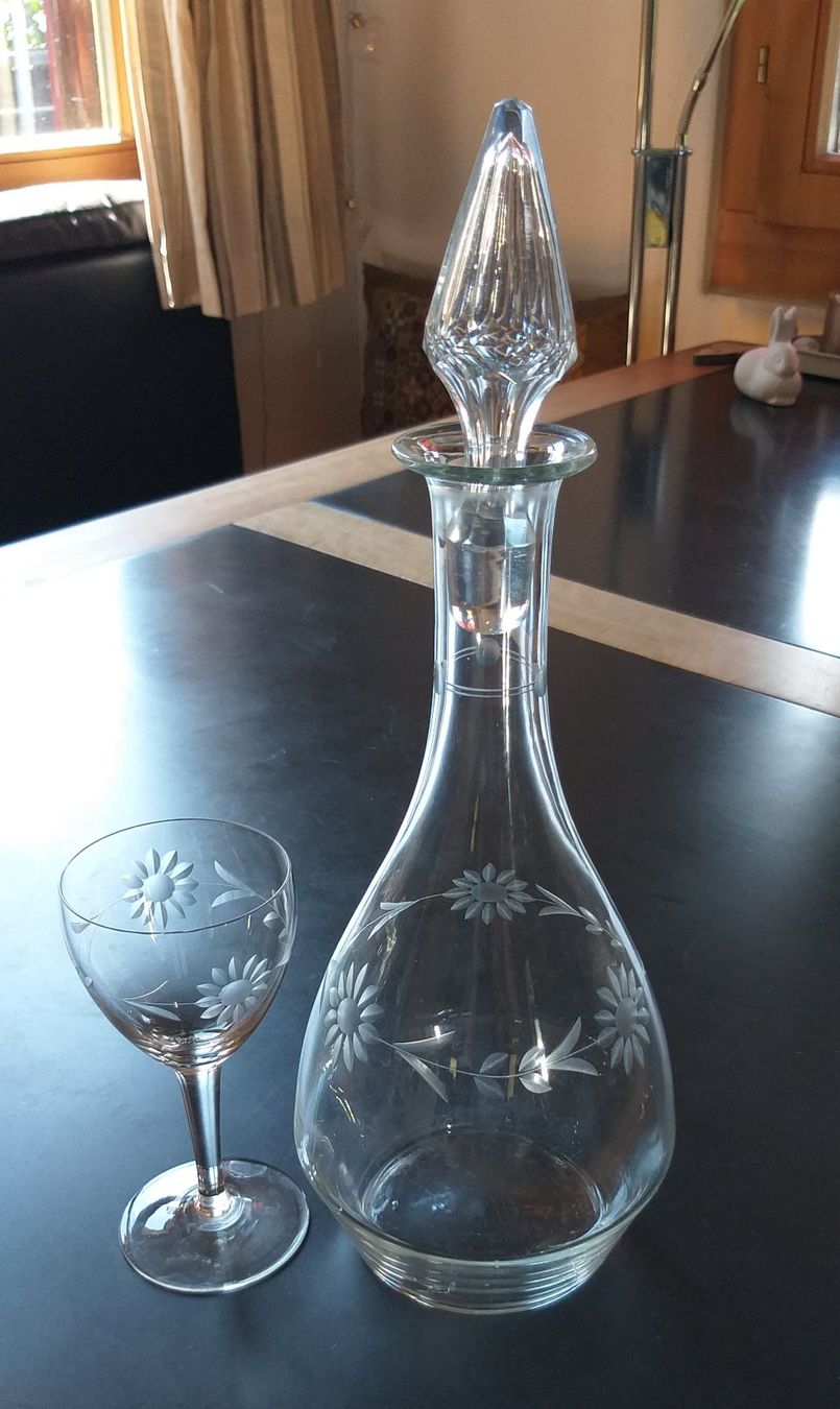 Caraffe: Karaffe für Wein mit Glas – Usato da Rodels venduto da sol_pq169