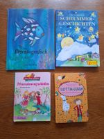 4 Kinderbuecher: Regenbogenfisch, Lotta-Leben, Prinzessin 57