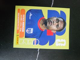 CPV 11
