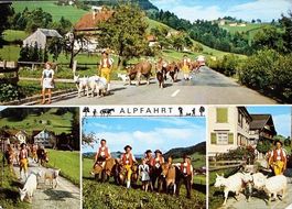 APPENZELL Alpfahrt, Kinder, Sennen, Ziegen, Stempel Olma