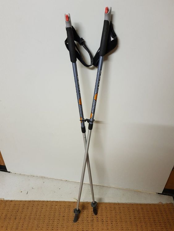 Leki prestige titanium nordic hot sale walking