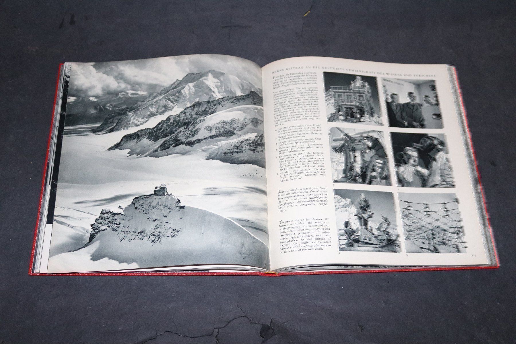 Libri: ROEDELBERGER,BERN-BUCH,ILLUSTRIERT,RAR – Usato da Guensberg venduto da Herzaktion 3