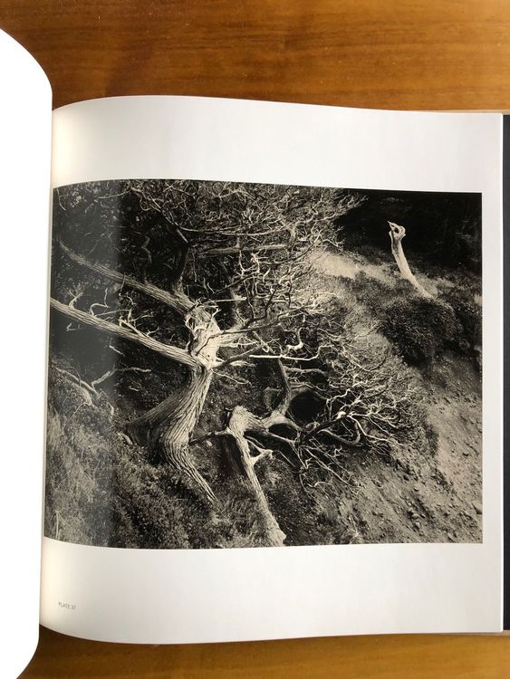 edward-weston-book-of-nudes-j-paul-getty-museum-gebraucht-in