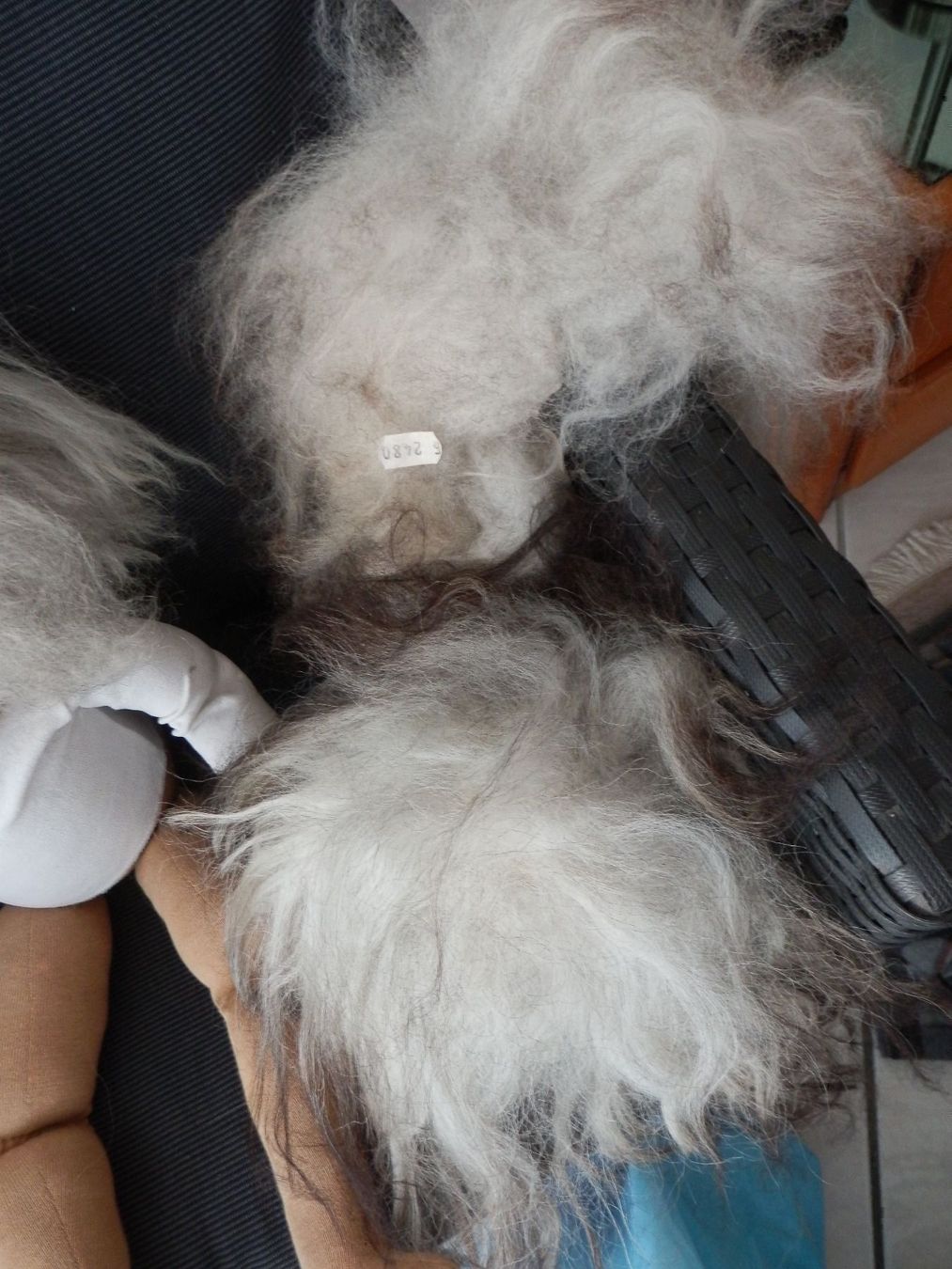 Puppen: Neue Clown Puppe inkl. div. Accessoire – Neu (gemäss Beschreibung) aus Zufikon von lea050 4