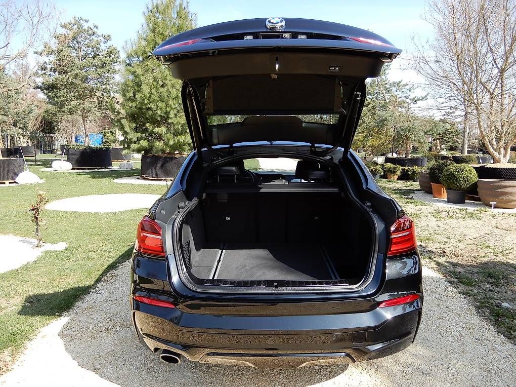 BMW Automobili: BMW X4 xDrive 20d – Usato da Conthey venduto da gui_vzj9 8