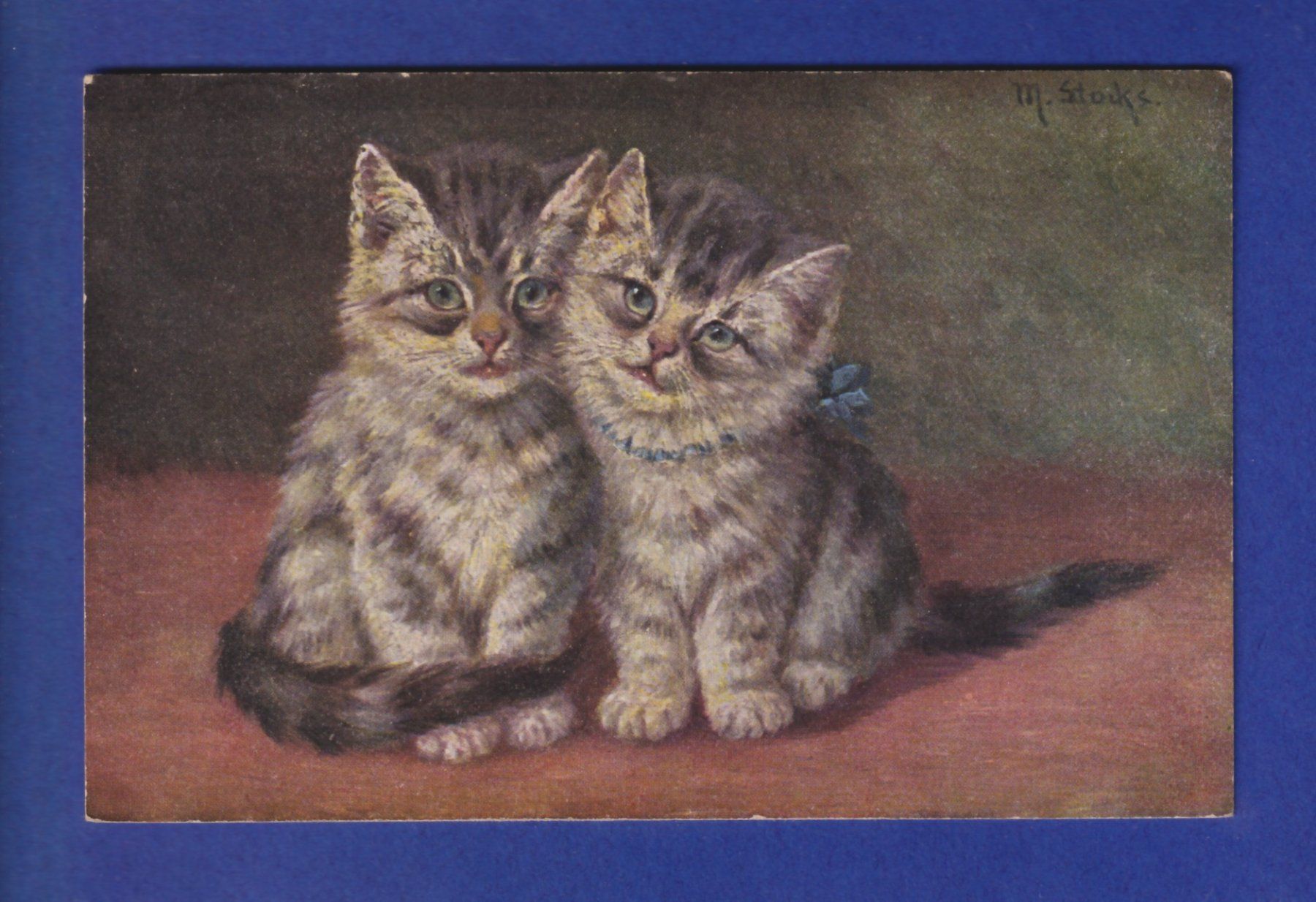 Cartoline postali: CHAT - Chatons – Usato da Pully venduto da nicecards-shop