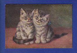 CHAT - Chatons
