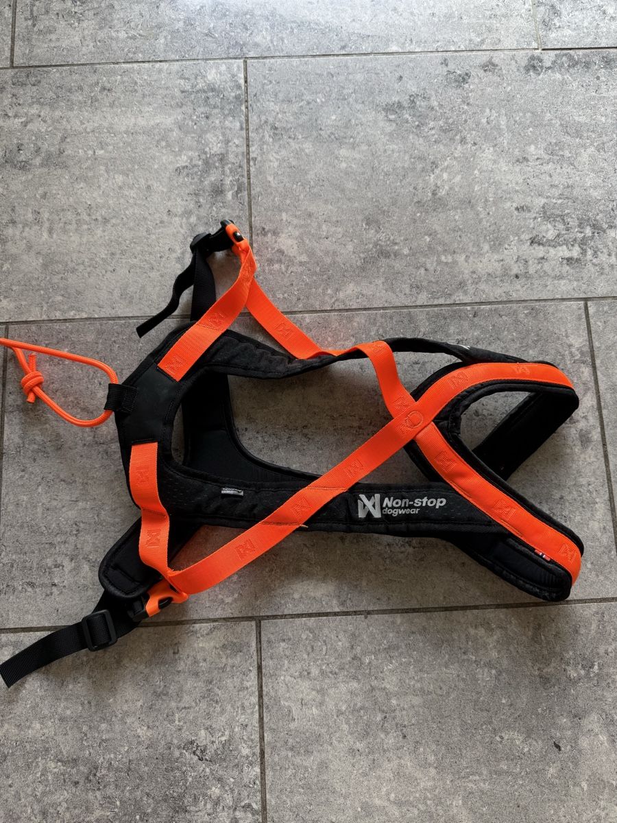 Non-Stop Dogwear Leine & Halsband: Non-stop Rush harness orange Grösse 7 neu – Gebraucht aus Rüti ZH von jocma
