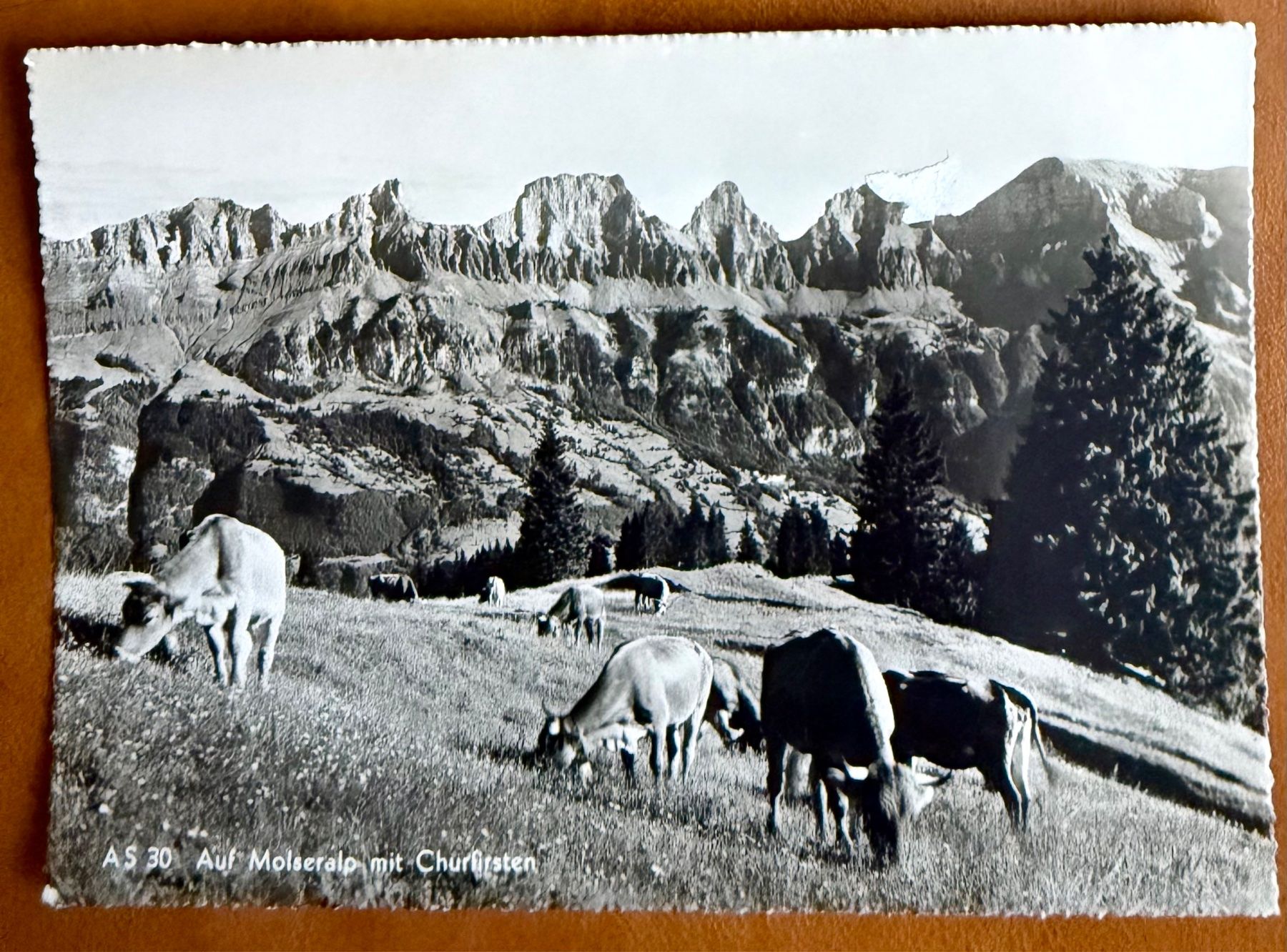 Ansichtskarten: AK: Molseralp mit Churfirsten  - Kühe – Gebraucht aus Lutry von Ediego