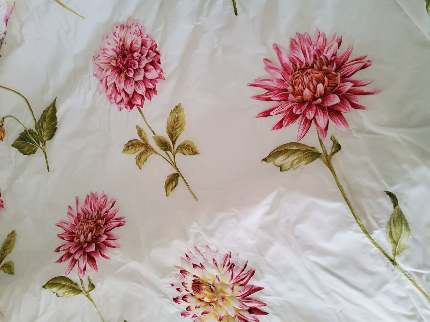 Tende: Duschvorhang Textil "Bloom Craft Home" Chrysanthemen-Muster – Usato da Wettingen venduto da ros_s7sq