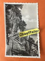 Postkarte 1951 Alpenhornbläser im Felsenweg Bürgenstock 