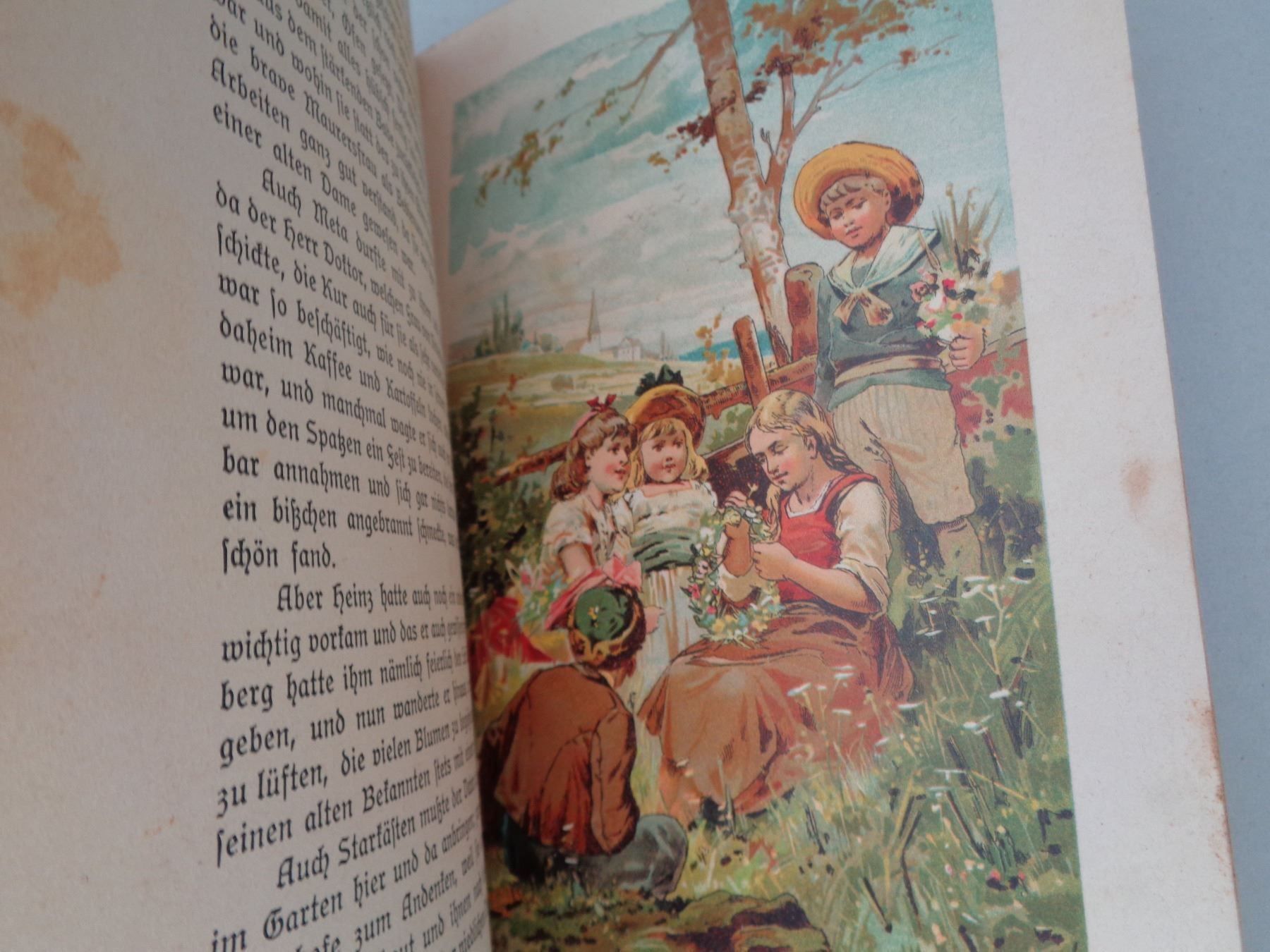 Libri: Pilzmütterchen - S.von Niebelschütz – Usato da Chur venduto da omonia 7