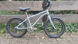Early Rider 16" (Seeker)