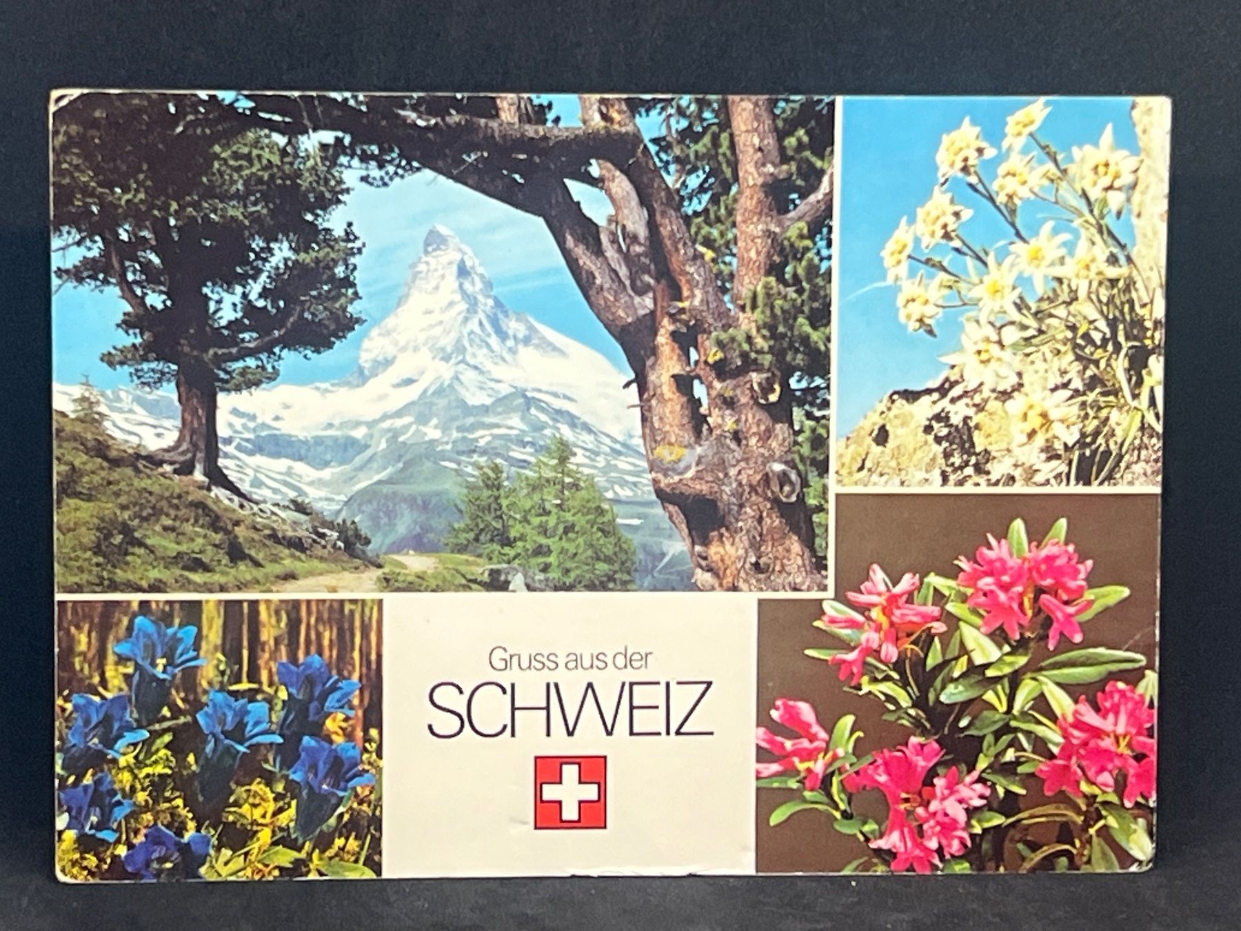 Cartes postales: Ansichtskarte: Gruss aus der Schweiz – D'occasion à Widnau par Brusi9