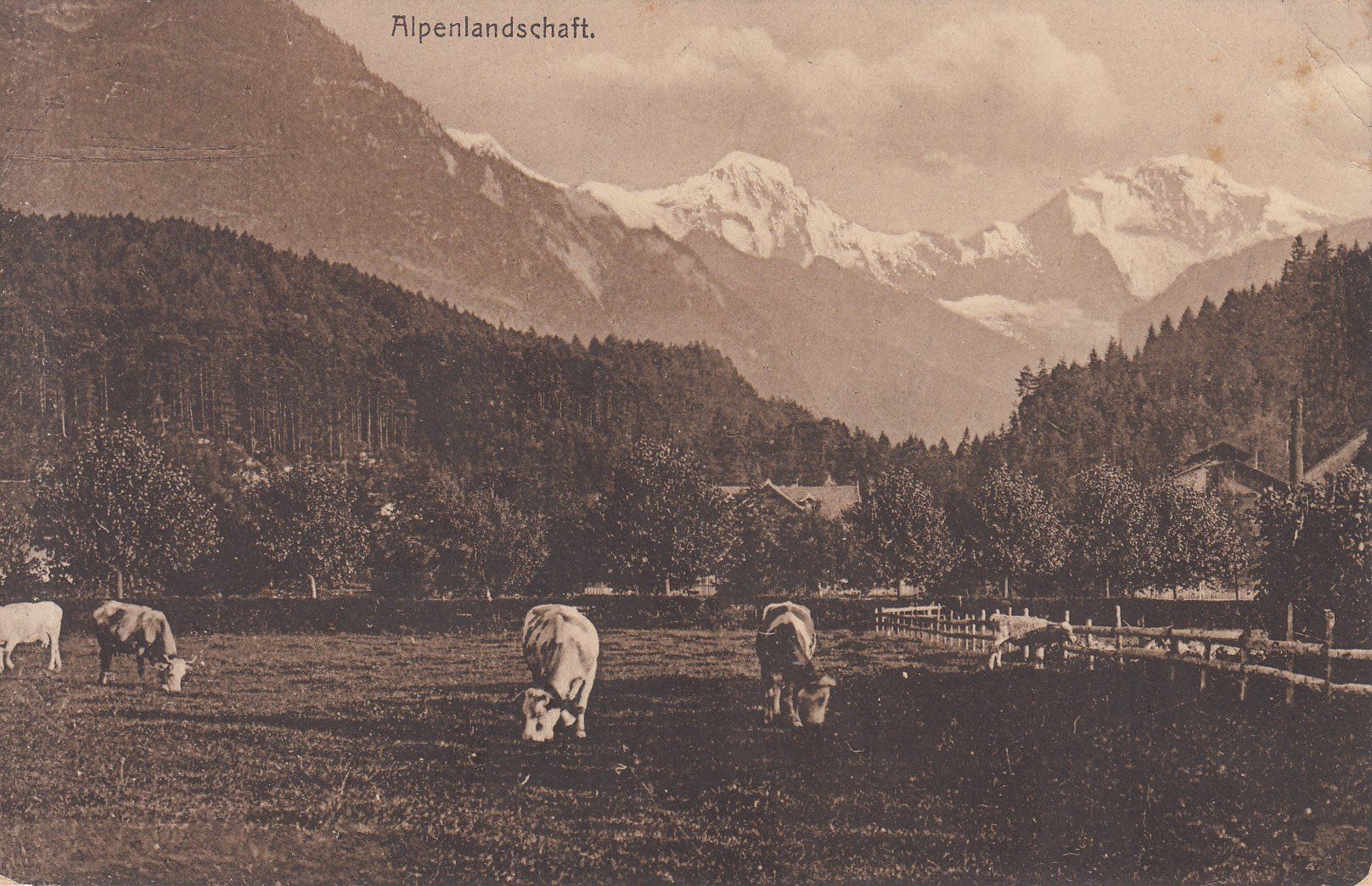 Cartoline postali: Alpenlandschaft 1913 – Usato da Bürglen TG venduto da StampGraf