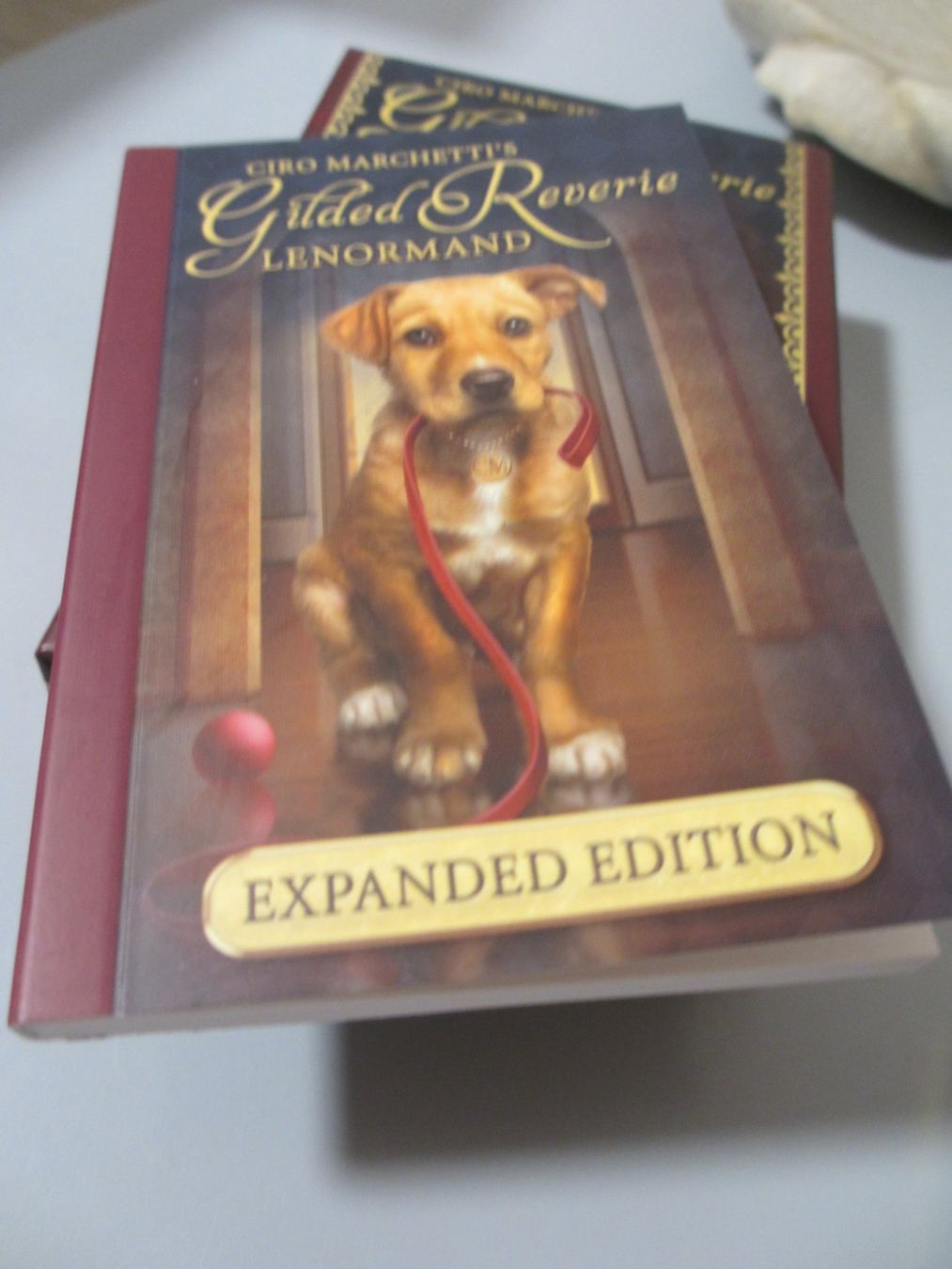 Livres: Tarot Lenormand – Neuf avec emballage d'origine à Herisau par fan_h9qj 2