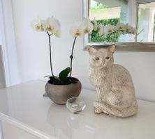 Katze aus Feinbeton